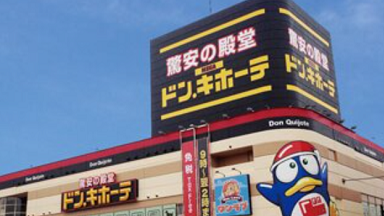 ダニ捕りロボ ドンキ